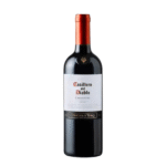 1070 VINO CASILLERO CARMENERE BT12   Mayorista AhorroPlus